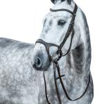 Bridle -Anatomic Sports-