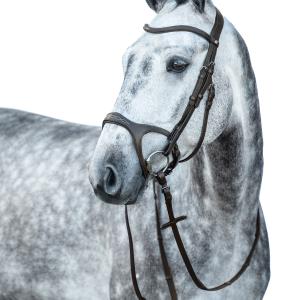 Bridle -Anatomic Sports-