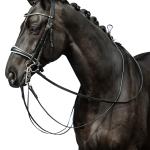 Double bridle -Dina-