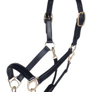 Leather head collar -Gold-