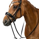 Bridle -Fleur-