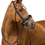 Bridle -Fleur-