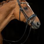 Bridle -Fleur-