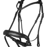 Bridle -Ira-
