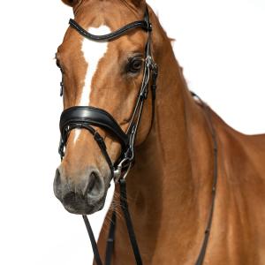 Bridle -Ira-