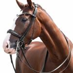 Double bridle -Kate-