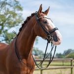 Double bridle -Kate-