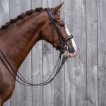 Double bridle -Kate-