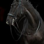 Double bridle -Grace-