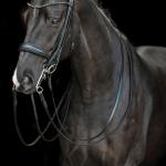 Double bridle -Grace-