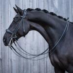 Double bridle -Grace-