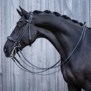 Double bridle -Grace-