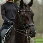 Double bridle -Grace-