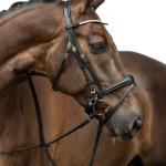 Bridle -Copenhagen-