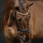 Bridle -Copenhagen-