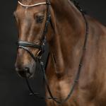 Bridle -Copenhagen-
