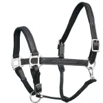 Fancy Stitched Leather Halter - Brass Nickel Hardware