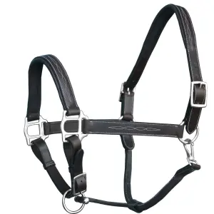 Fancy Stitched Leather Halter - Brass Nickel Hardware