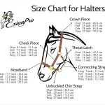 Fancy Stitched Leather Halter - Brass Nickel Hardware